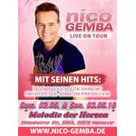 16-03-2018 - fb plakat - nico gemba in hannover.jpg